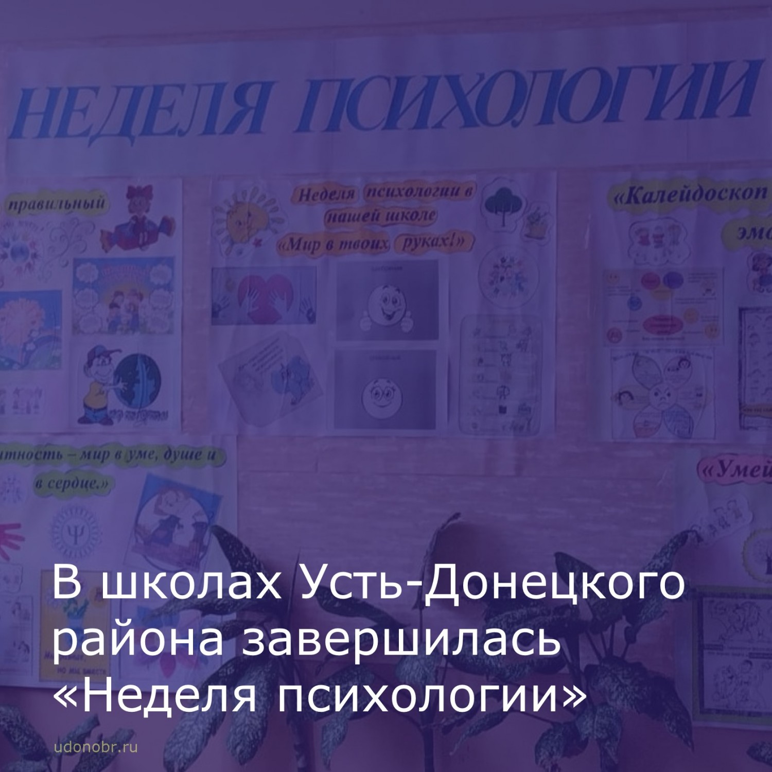 В Усть-Донецких школах завершилась традиционная «Неделя психологии».