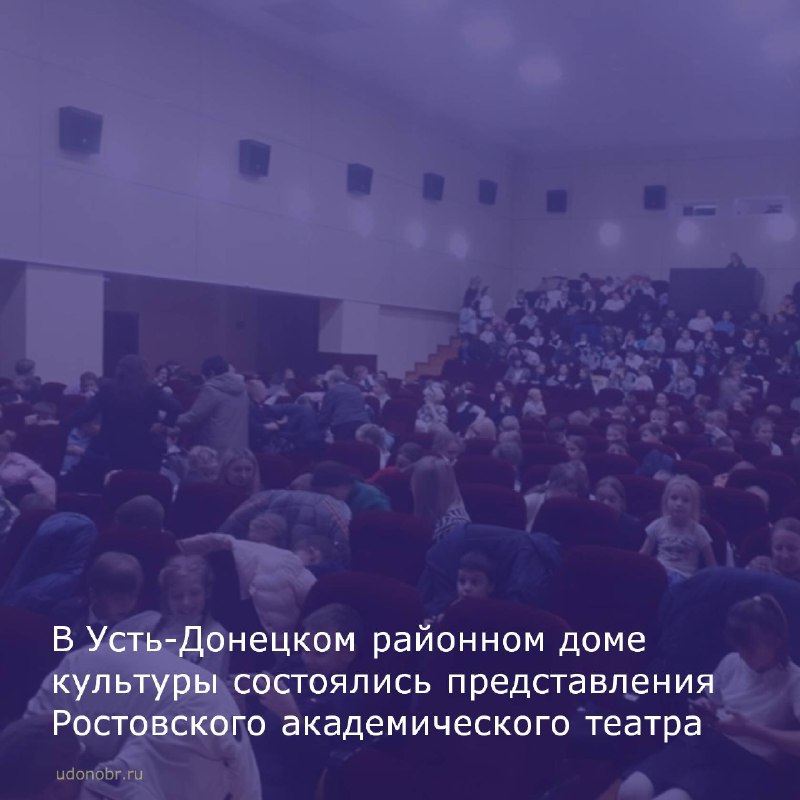 В Усть-Донецком районном доме культуры состоялись представления Ростовского академического театра