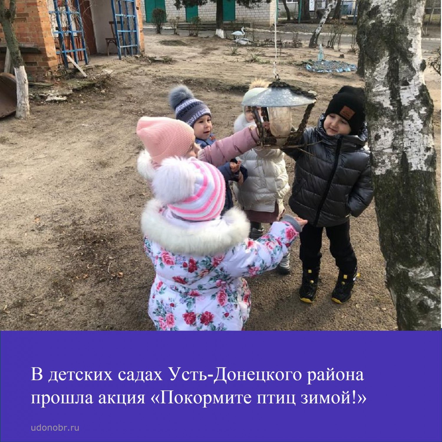 В детских садах Усть-Донецкого района прошла акция «Покормите птиц зимой!»