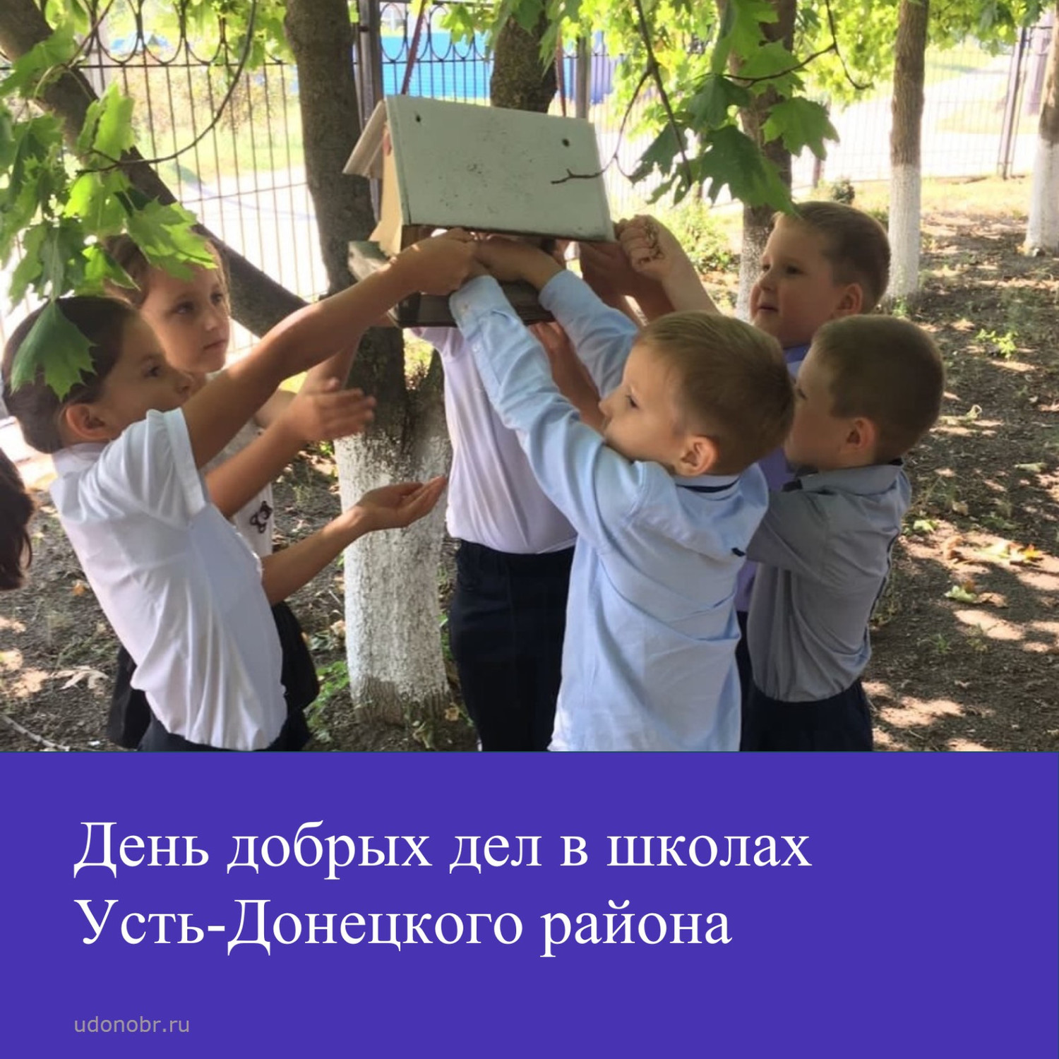 День добрых дел в школах Усть-Донецкого района