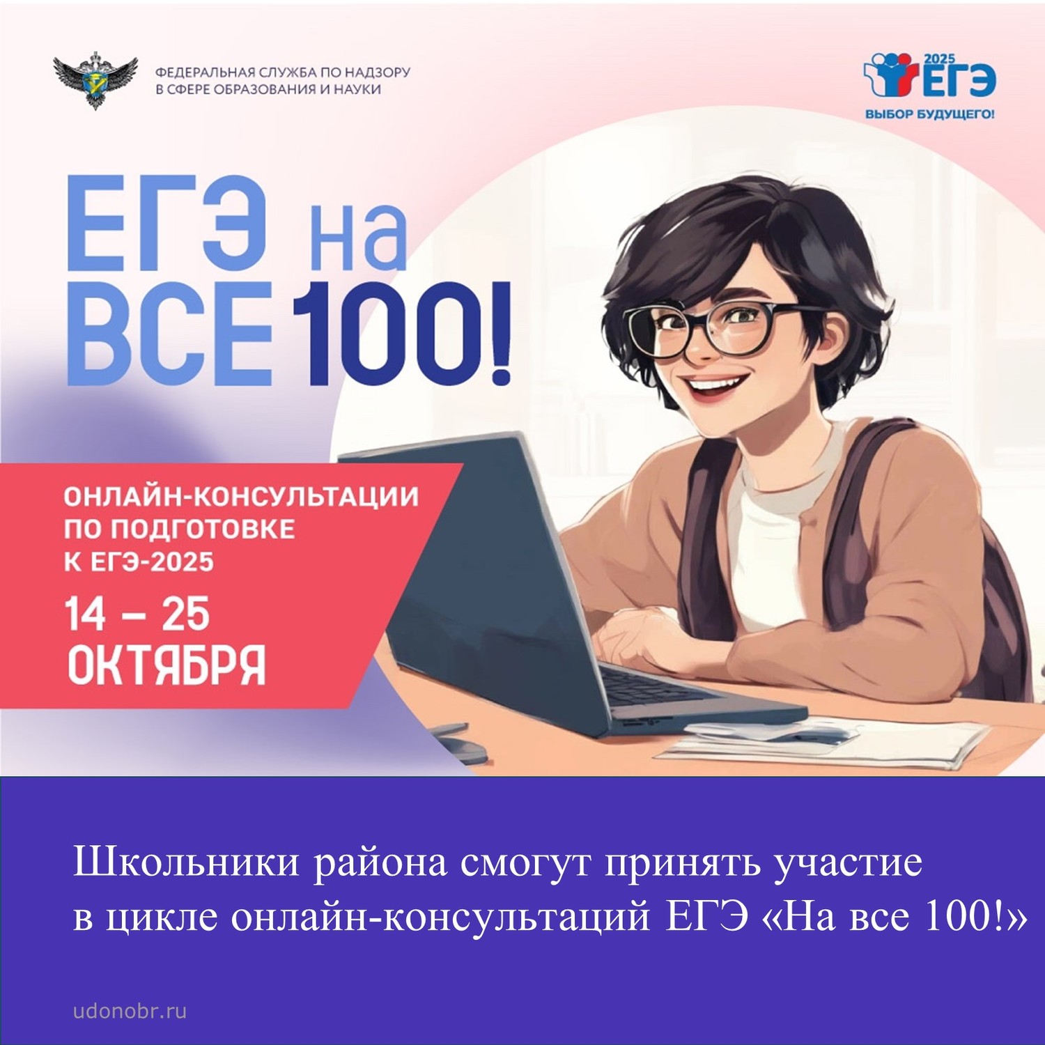 Школьники Усть-Донецкого района смогут принять участие в цикле онлайн-консультаций ЕГЭ «На все 100!»