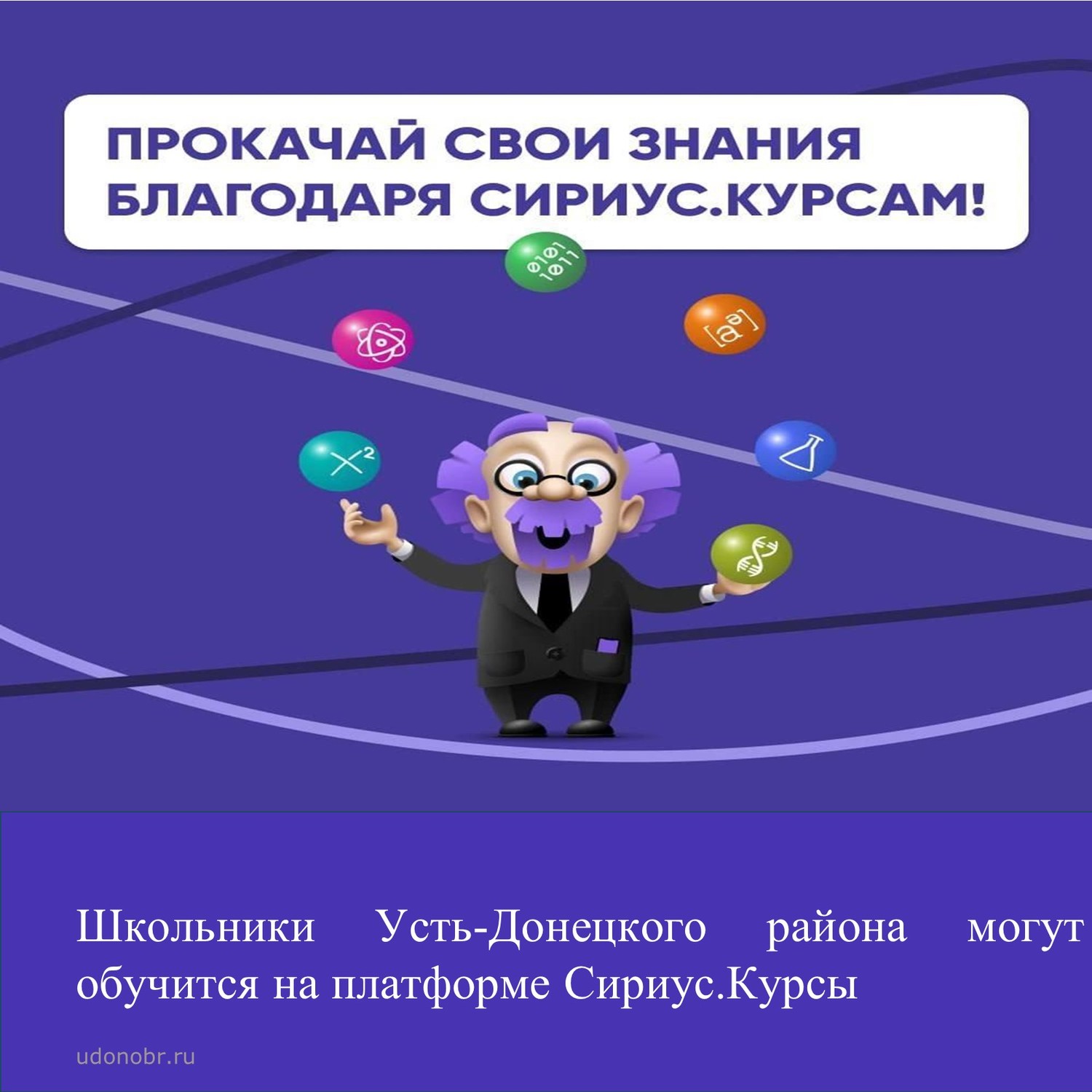 Школьники Усть-Донецкого района могут обучится на платформе Сириус.Курсы