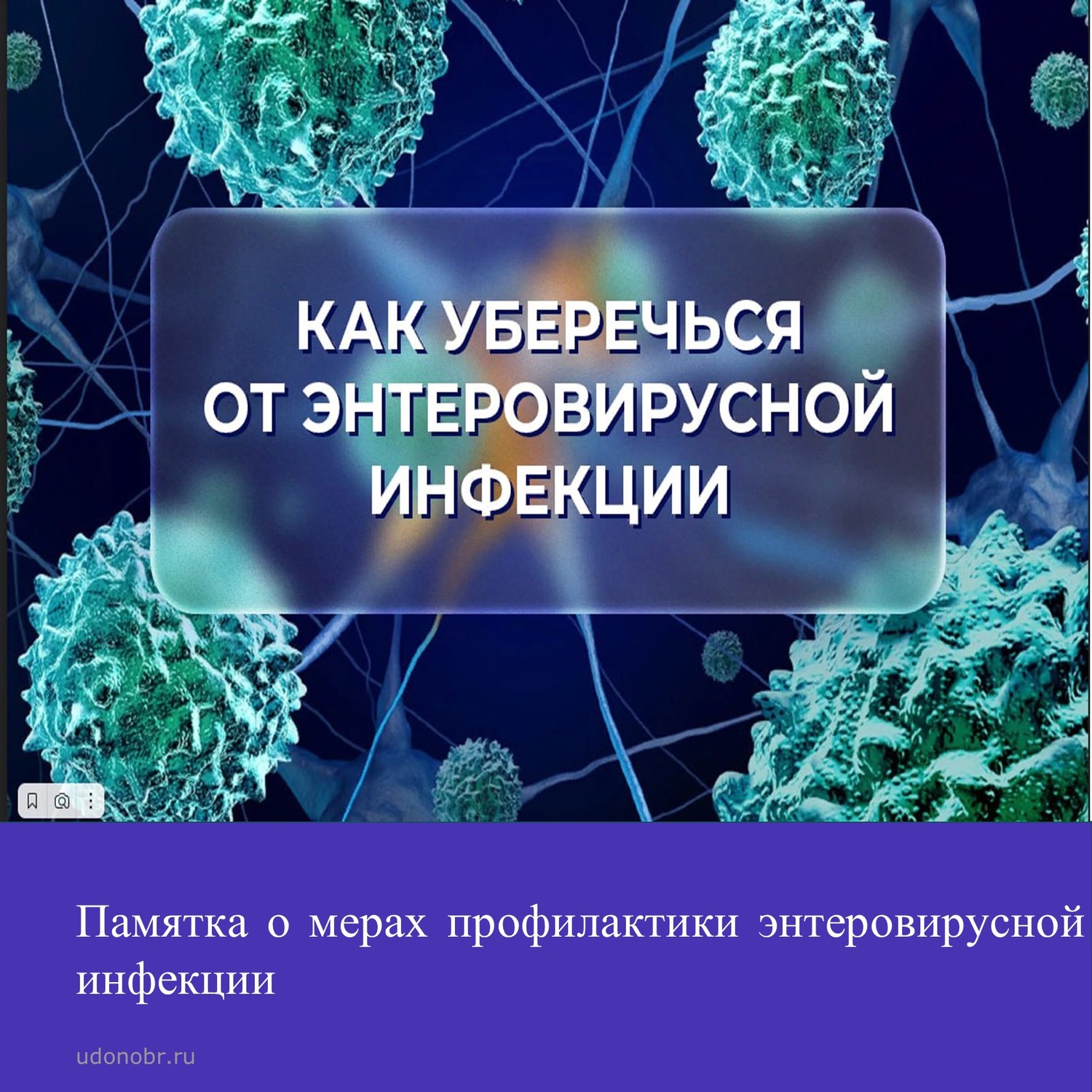 Памятка о мерах профилактики энтеровирусной инфекции