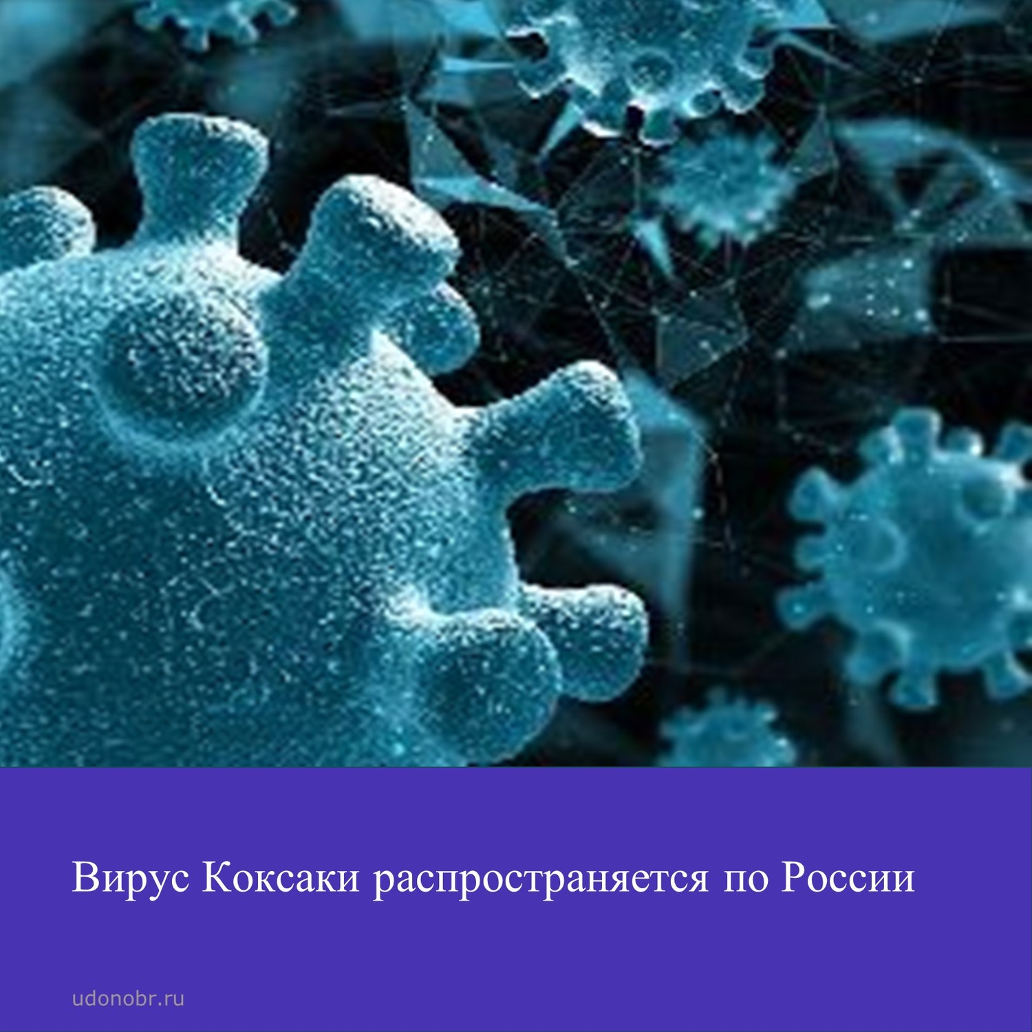 Вирус Коксаки распространяется по России