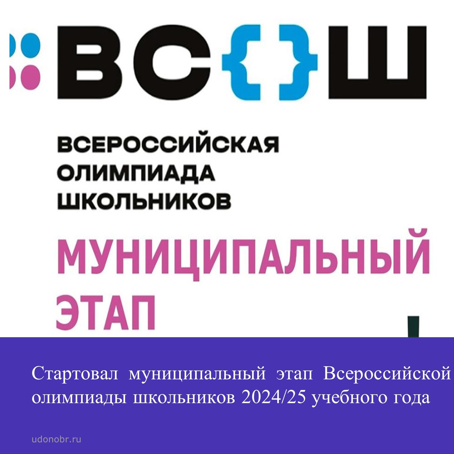 Стартовал муниципальный этап Всероссийской олимпиады школьников 2024/25 учебного года