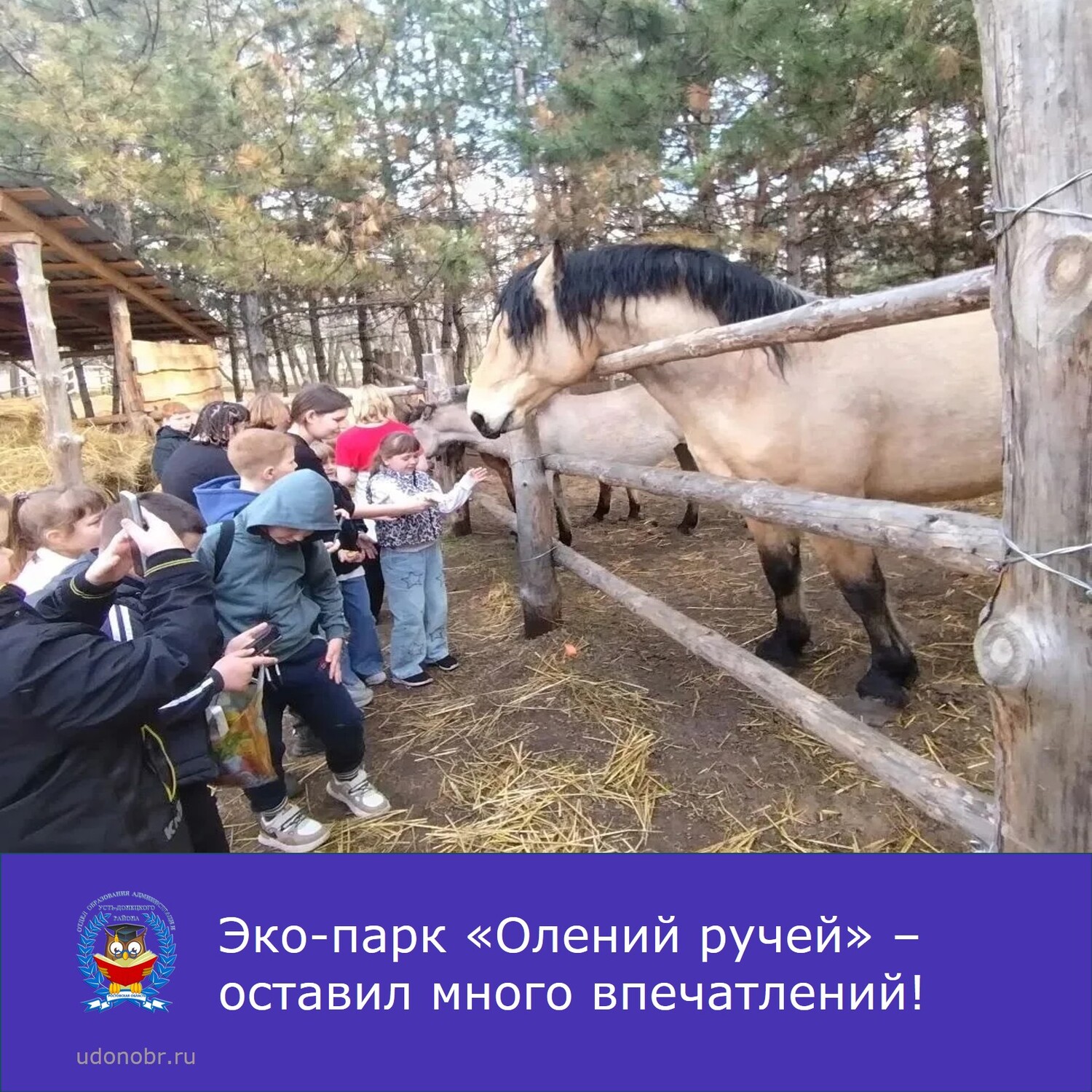 Эко-парк «Олений ручей» – оставил много впечатлений!